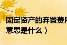 固定资产的弃置费用是什么意思（弃置费用的意思是什么）