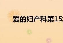 爱的妇产科第15集（爱的妇产科1季）