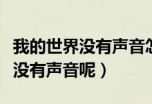 我的世界没有声音怎么回事（为什么我的世界没有声音呢）