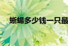 蜥蜴多少钱一只最好（蜥蜴多少钱一只）