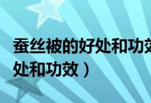 蚕丝被的好处和功效能套被套吗（蚕丝被的好处和功效）
