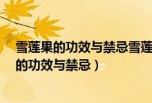 雪莲果的功效与禁忌雪莲果吃的多了会流鼻血吗?（雪莲果的功效与禁忌）