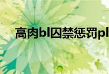 高肉bl囚禁惩罚play文（bl小说囚禁文）