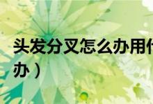 头发分叉怎么办用什么洗发水（头发分叉怎么办）