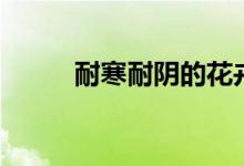 耐寒耐阴的花卉（耐寒耐阴植物）