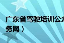 广东省驾驶培训公众服务网(驾驶培训公众服务网)