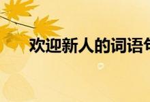 欢迎新人的词语句子（欢迎新人的词）