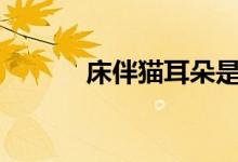 床伴猫耳朵是第几集（床伴gl）