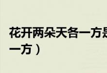 花开两朵天各一方是分手了吗（花开两朵天各一方）