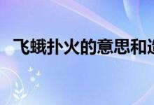 飞蛾扑火的意思和造句（飞蛾扑火的意思）