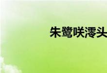 朱鹭咲澪头像（朱鹭咲澪）