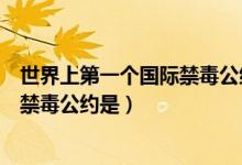 世界上第一个国际禁毒公约是在哪一年（世界上第一个国际禁毒公约是）