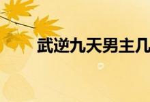 武逆九天男主几个老婆(武逆九天)