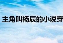 主角叫杨辰的小说穿越（主角叫杨辰的小说）