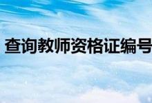 查询教师资格证编号（教师资格证号码查询）