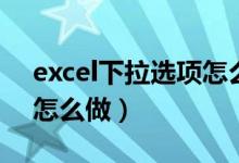excel下拉选项怎么做（excel表格下拉选项怎么做）