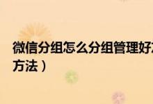 微信分组怎么分组管理好友（微信中的好友怎么分组管理的方法）