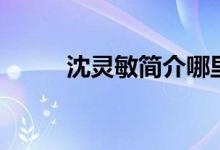 沈灵敏简介哪里人（沈灵敏照片）