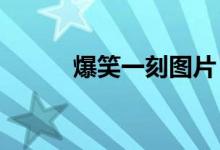 爆笑一刻图片（爆笑一刻4399）