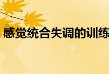 感觉统合失调的训练（感觉统合失调的原因）