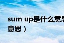 sum up是什么意思怎么读（sum up是什么意思）