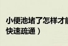 小便池堵了怎样才能疏通(厕所堵了如何自己快速疏通)