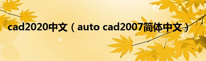 cad2020中文（auto cad2007简体中文）