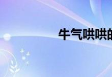 牛气哄哄的意思（牛气）