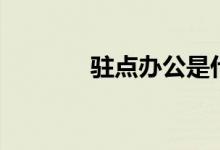 驻点办公是什么意思（驻点）