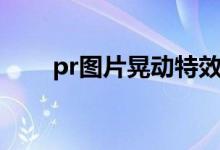 pr图片晃动特效（pr图片运动特效）