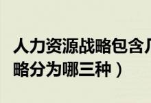 人力资源战略包含几个层次（人力资源管理战略分为哪三种）
