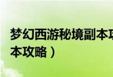 梦幻西游秘境副本攻略视频（梦幻西游秘境副本攻略）