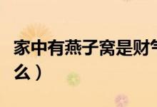 家中有燕子窝是财气吗（家里有燕子窝象征什么）