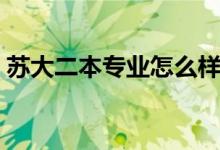 苏大二本专业怎么样(苏大二本专业有哪些)
