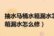 抽水马桶水箱漏水怎么修理图解（抽水马桶水箱漏水怎么修）