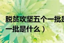 脱贫攻坚五个一批是什么意思（脱贫攻坚五个一批是什么）