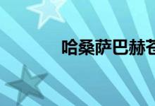 哈桑萨巴赫苍（哈桑 萨巴赫）