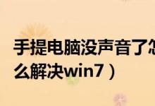 手提电脑没声音了怎么解决（电脑没声音了怎么解决win7）