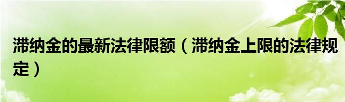 滞纳金的最新法律限额（滞纳金上限的法律规定）