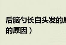 后脑勺长白头发的原因分析（后脑勺长白头发的原因）