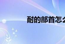 耐的部首怎么读（耐的部首）