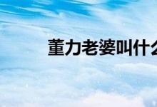 董力老婆叫什么名字（董力老婆）