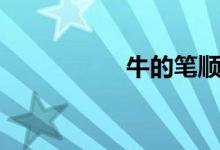 牛的笔顺（午的笔顺）