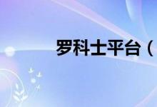 罗科士平台（罗科仕猎头平台）