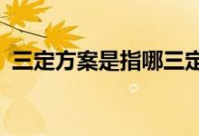 三定方案是指哪三定?（三定方案是哪三定）