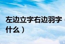 左边立字右边羽字（左边一个立右边一个羽念什么）