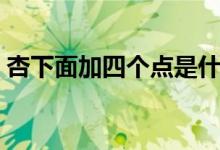 杏下面加四个点是什么字（四个点是什么字）