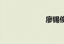 廖锡俊之子廖飞