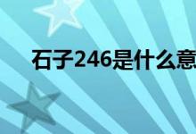石子246是什么意思（246是什么意思）