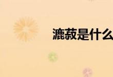漉菽是什么意思啊（漉菽）